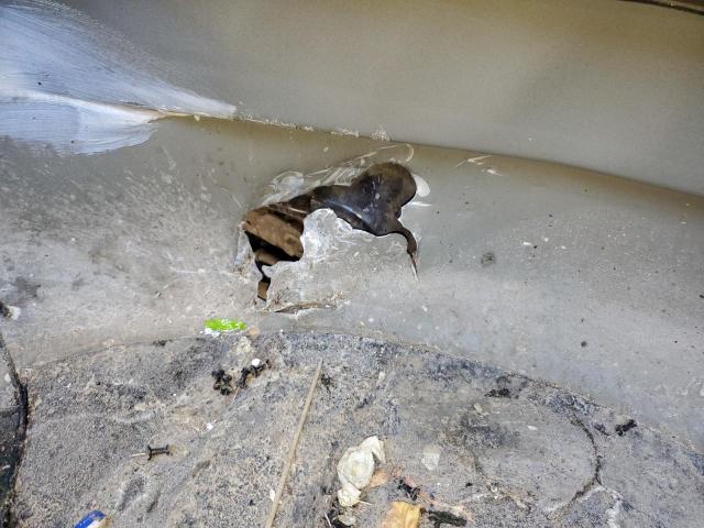 Dodge Charger Scat Pack Image 12