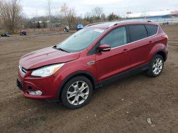  Salvage Ford Escape