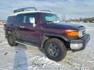 Toyota FJ Cruiser Image 10