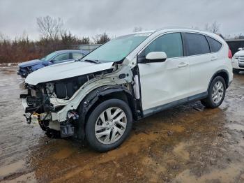  Salvage Honda Crv