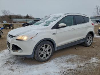  Salvage Ford Escape