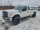 Ford F-250 Super Duty Image 1