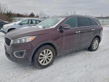  Salvage Kia Sorento