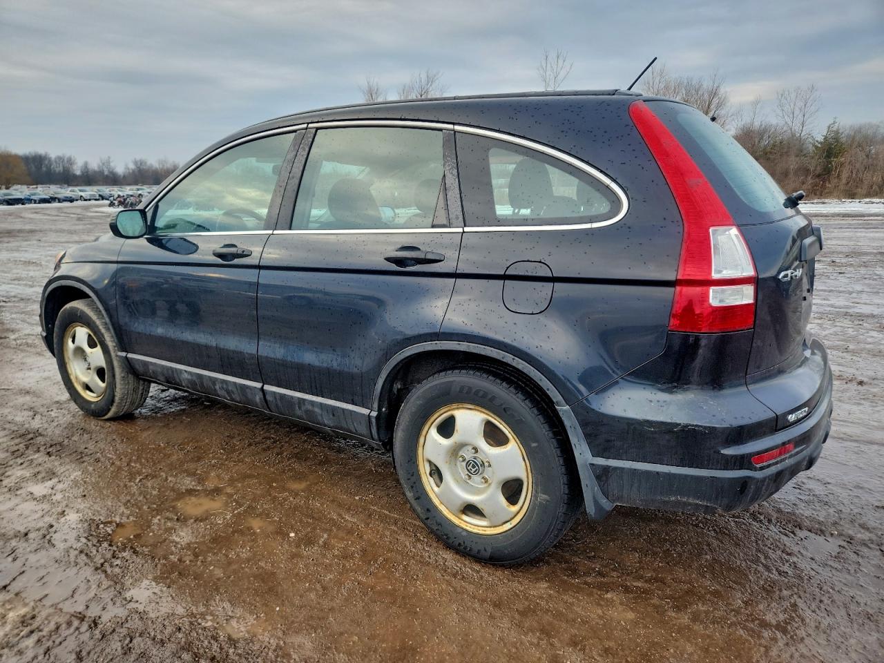 Honda Crv Lx Image 2