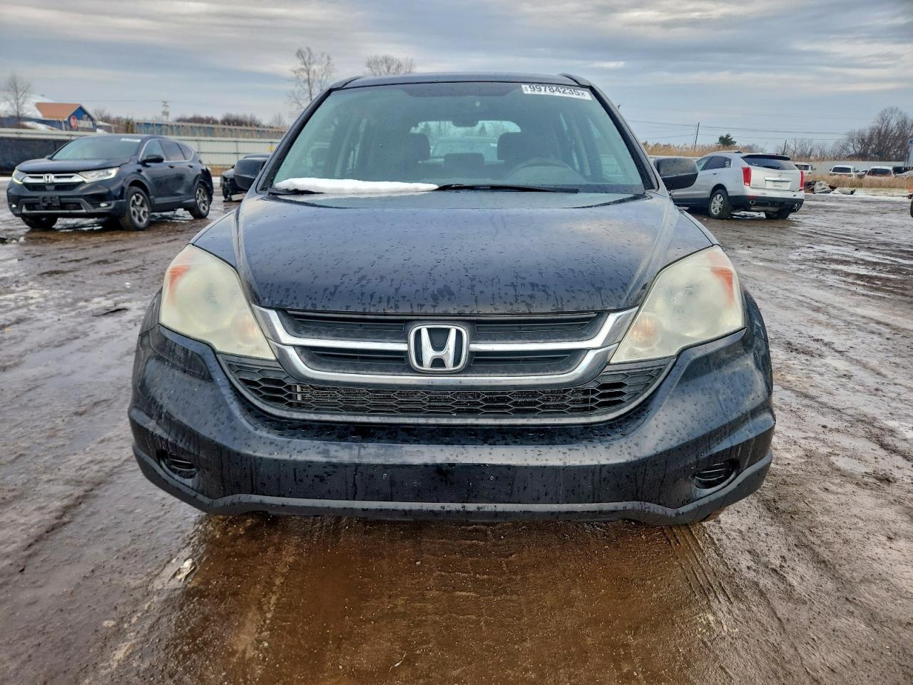 Honda Crv Lx Image 4