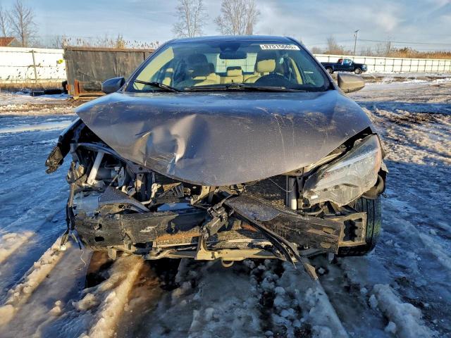 Toyota Corolla L Image 2