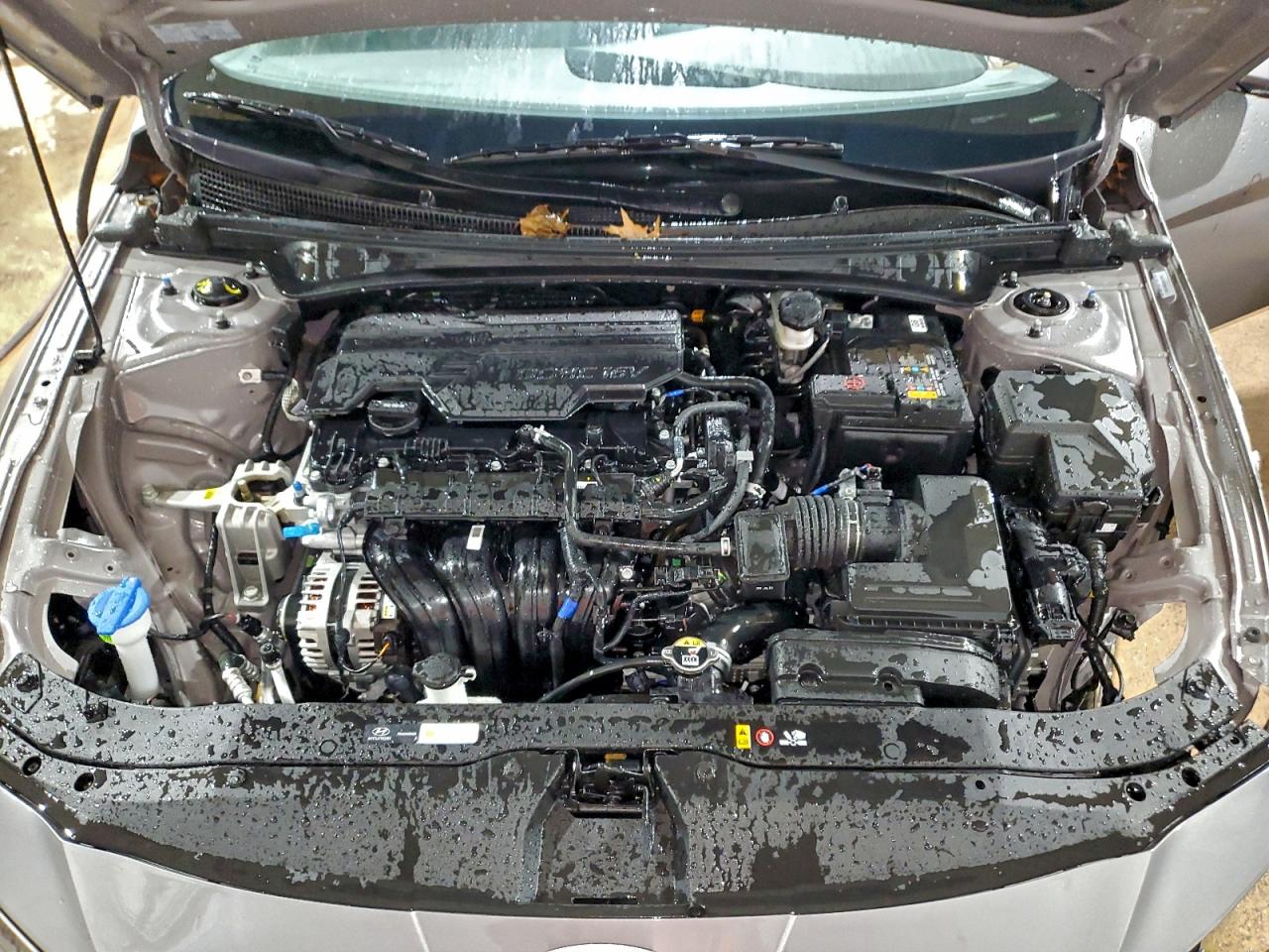 Hyundai ELANTRA Sel Image 12