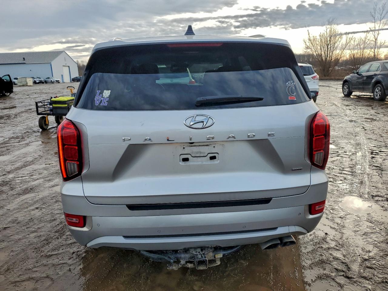 Hyundai PALISADE Limited Image 11