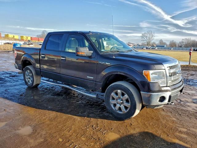 Ford F-150 Supercrew Image 12