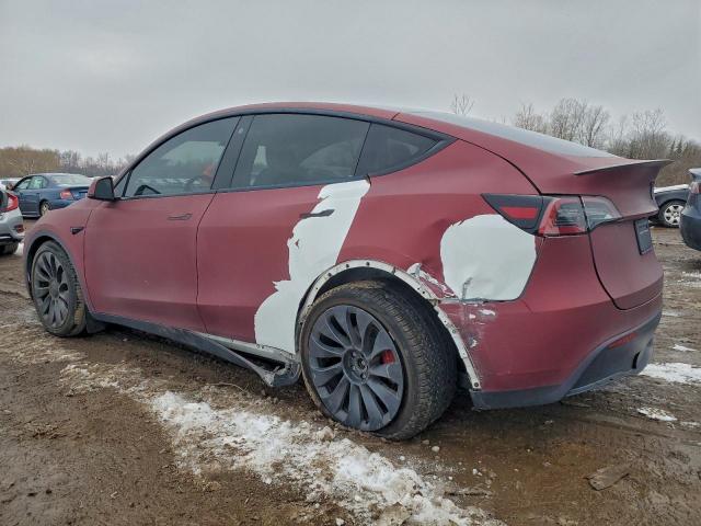 Tesla Model Y Image 4