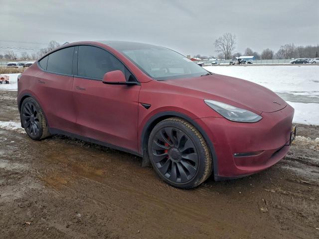 Tesla Model Y Image 6