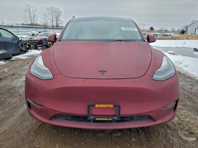 Tesla Model Y Image 2