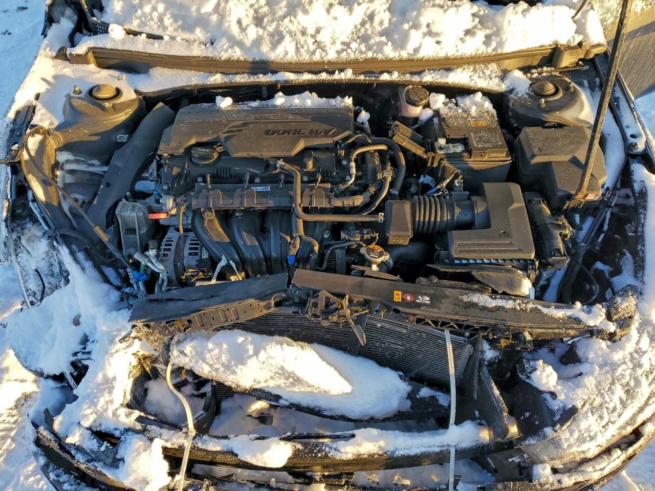 Hyundai ELANTRA Sel Image 8